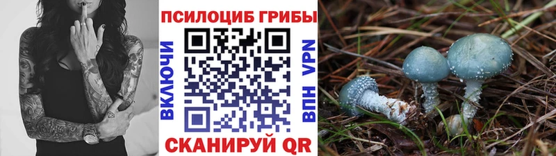 Галлюциногенные грибы мухоморы гидра сайт Вельск купить наркотик
